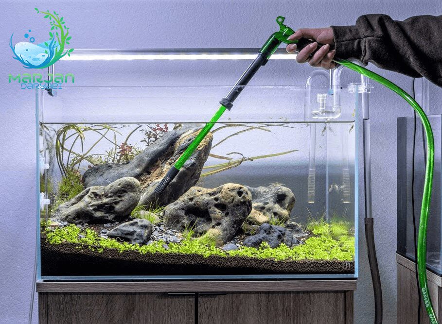 آموزش سیفون زدن آکواریوم