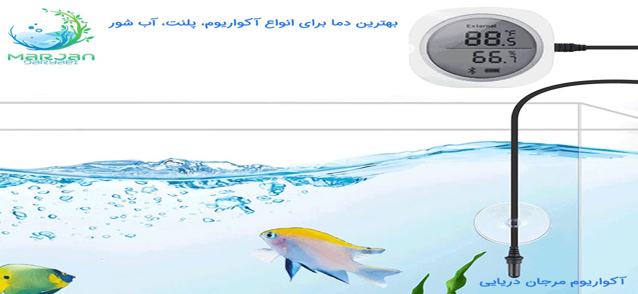 آکواریوم پلنت | مرجان دریایی