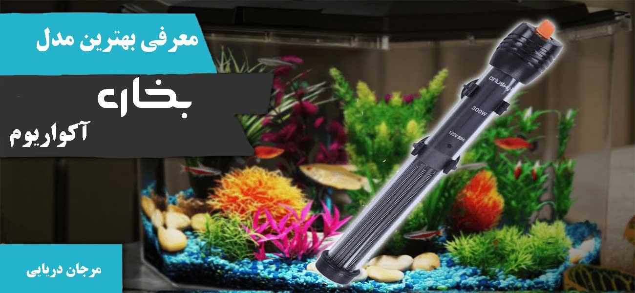 بهترین بخاری آکواریوم