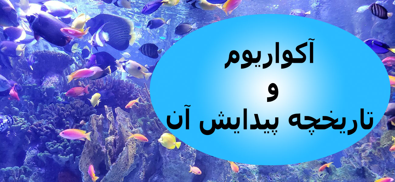 آکواریوم و تاریخچه پیدایش آن