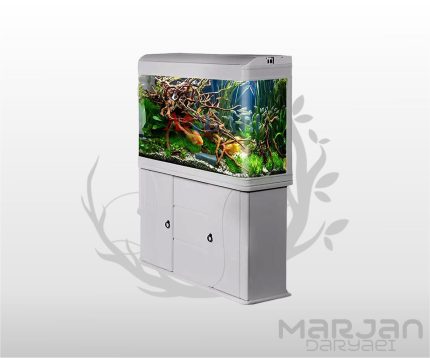 آکواریوم دلسا k1000