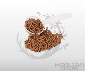 FH-G1 اوشن فری