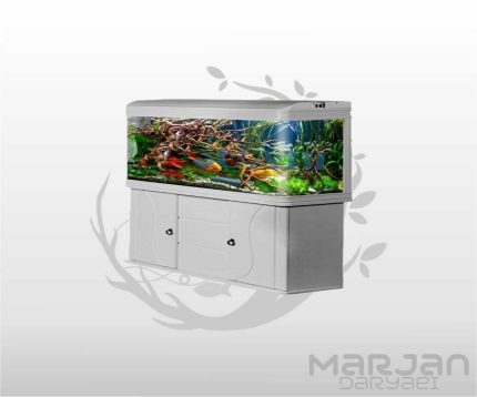 آکواریوم دلسا K2000