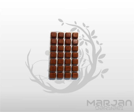 قرص آرتمیا دکپسوله منجمد ریوجوما