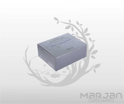 رگلاتورCo2 آکواریوم دی سی مدل DC01-01
