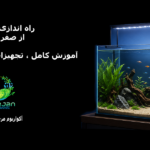 راه اندازی آکواریوم