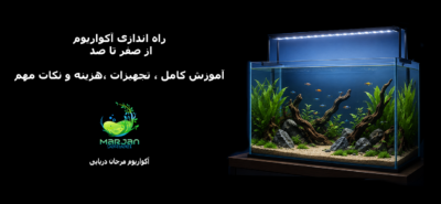 راه اندازی آکواریوم