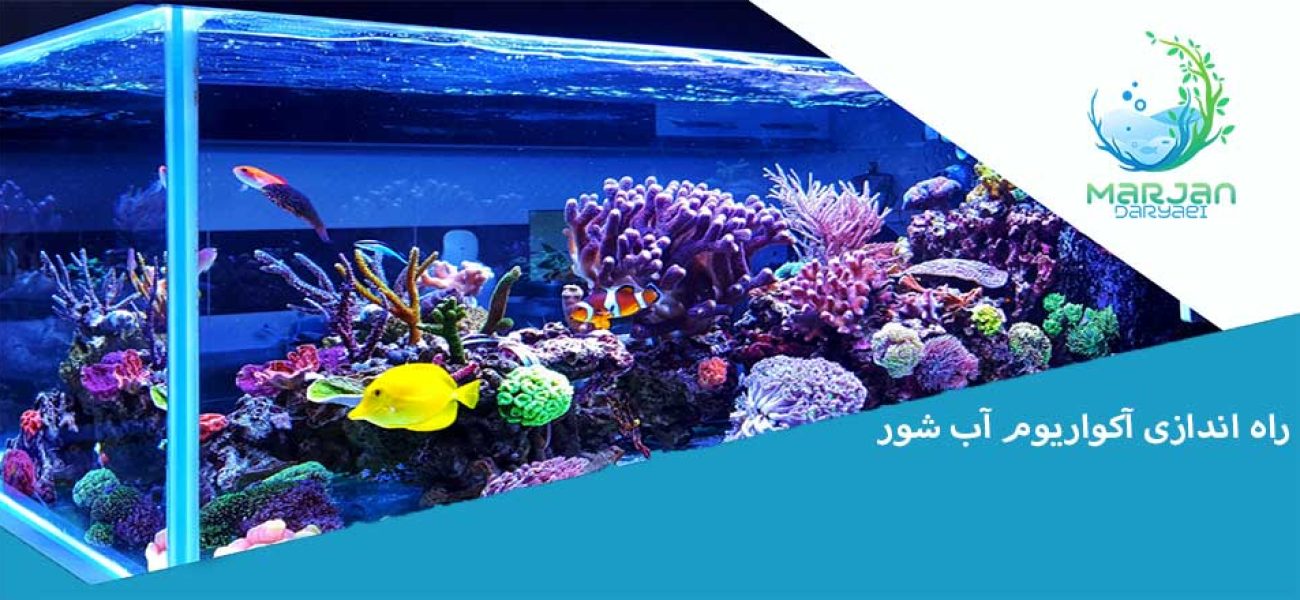 آکواریوم آب شور حرفه ای