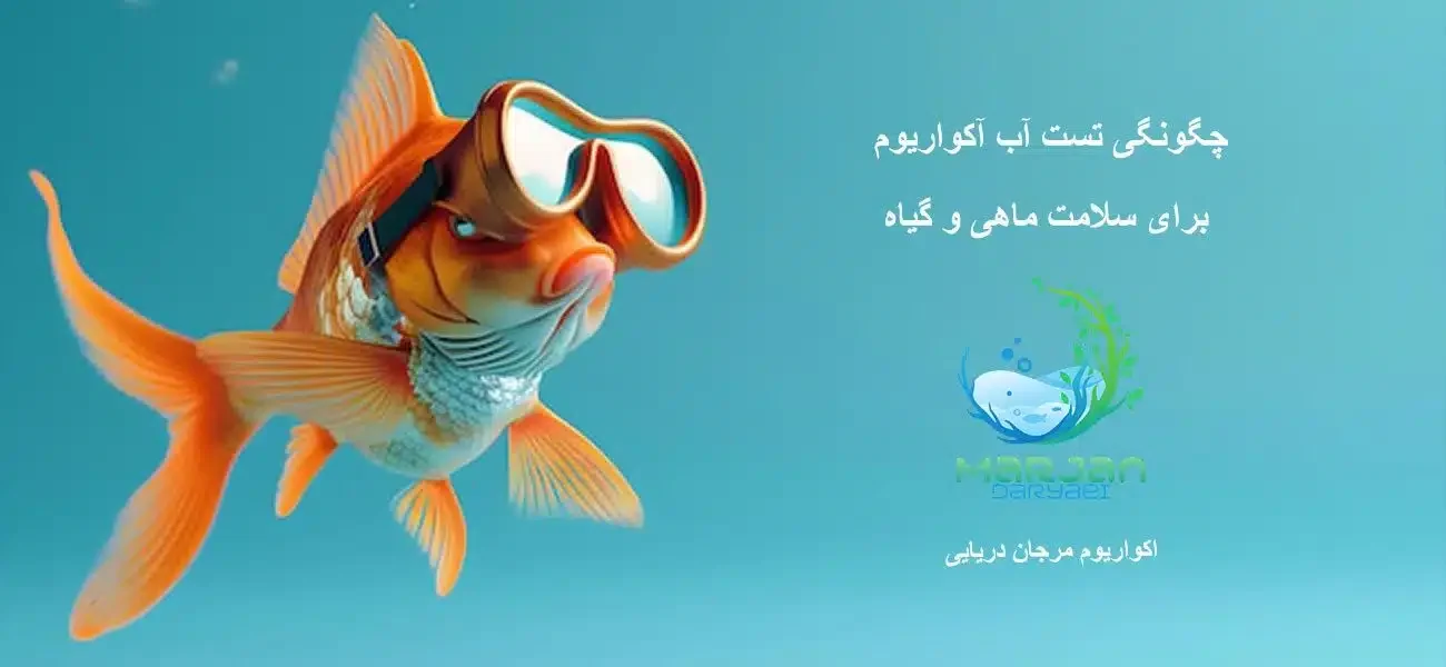 -اب-اکواریوم-qz2m2vkly7e063anj1azqbrkvvkehke22ufp3oo580.jpg