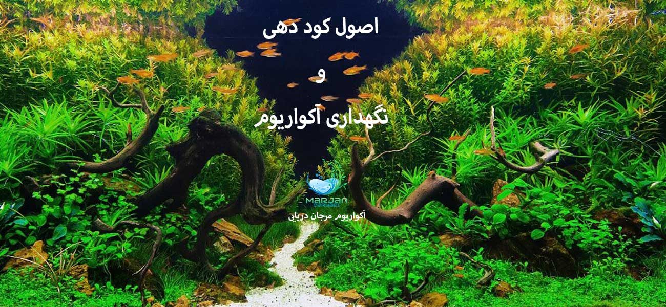 اصول کود دهی و نگهداری آکواریوم