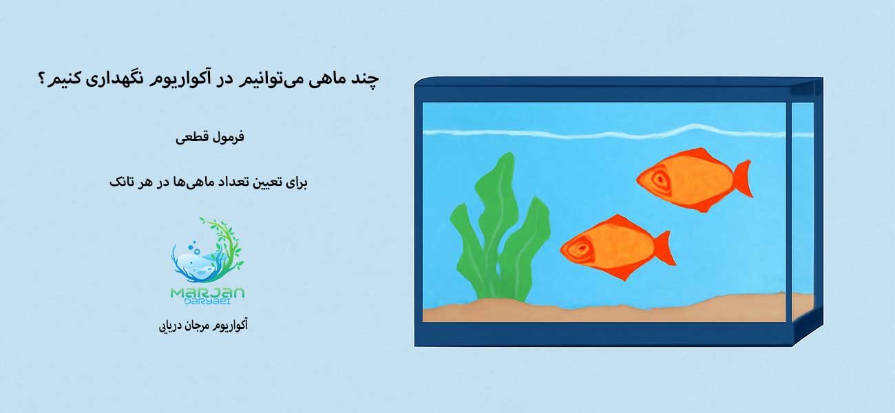 تعداد ماهی‌ در آکواریوم