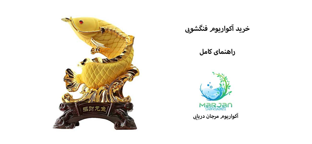 خرید آکواریوم فنگشویی: راهنمای کامل