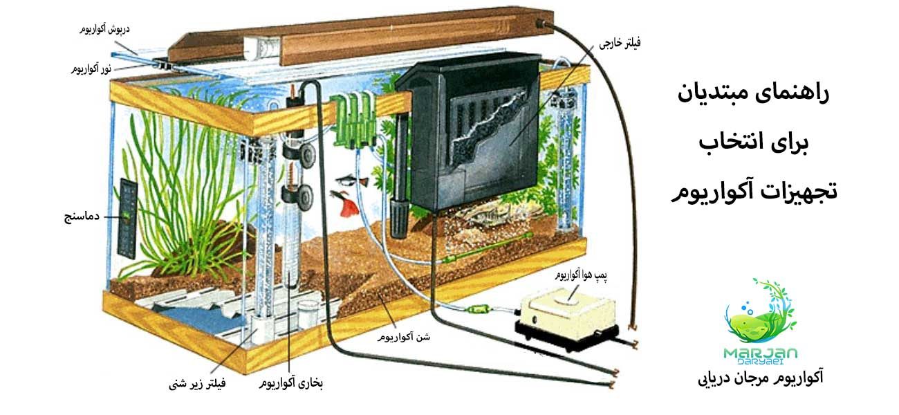 راهنمای مبتدیان برای انتخاب تجهیزات آکواریوم