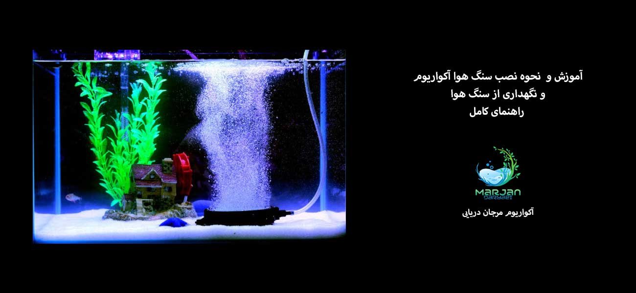 آموزش نحوه نصب سنگ هوا آکواریوم | راهنمای کامل