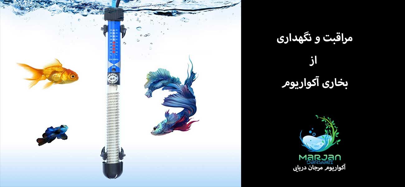 نگهداری و مراقبت از بخاری آکواریوم