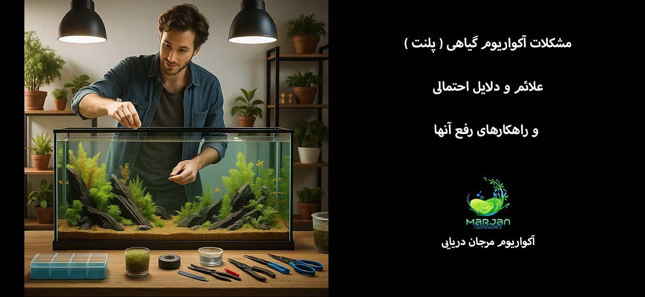 مشکلات آکواریوم گیاهی ( پلنت )