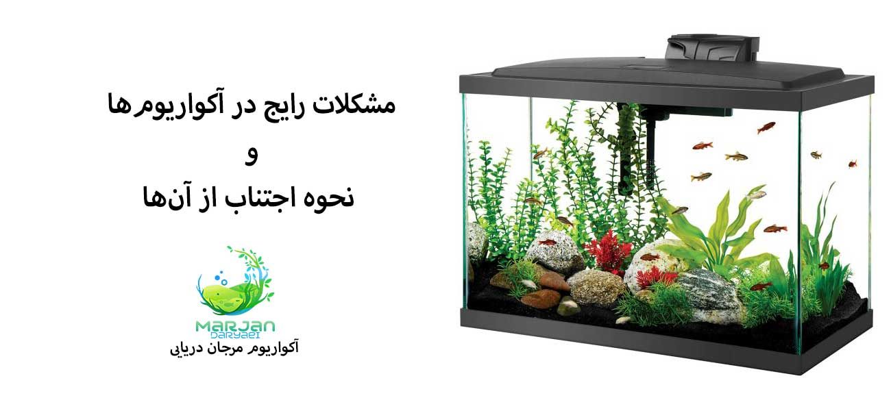 مشکلات رایج در آکواریوم‌ و نحوه اجتناب از آن‌ها