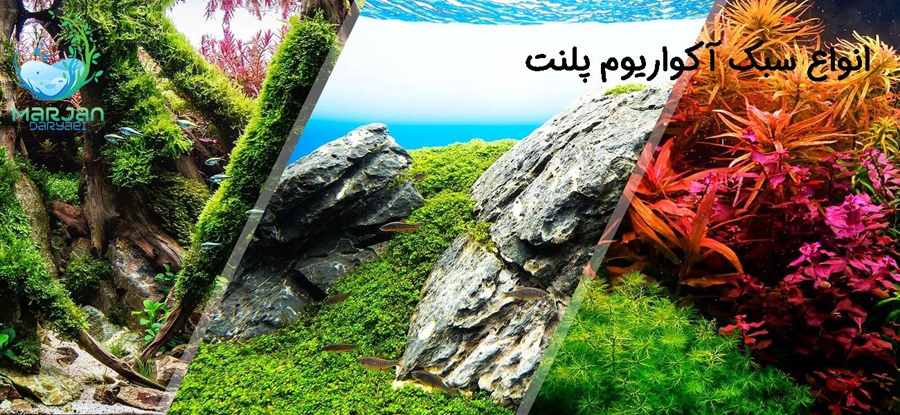انواع سبک آکواریوم پلنت
