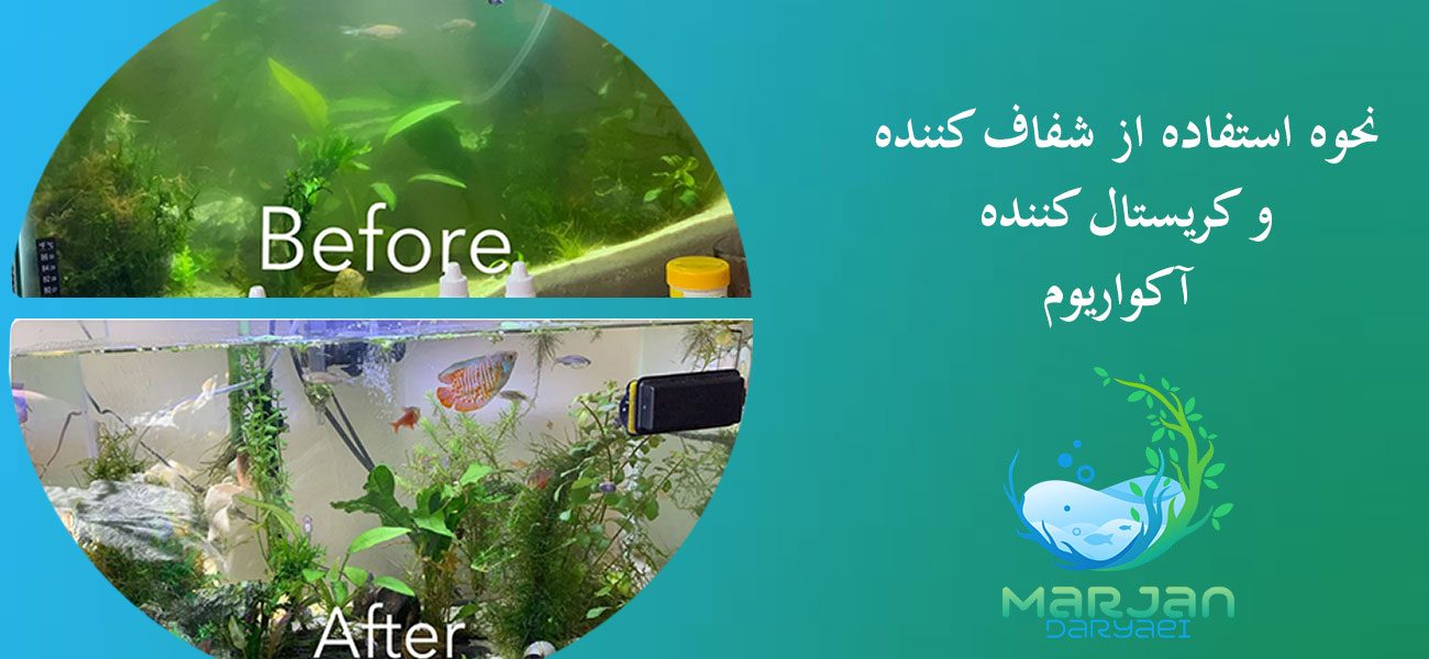 نحوه استفاده از شفاف کننده آب آکواریوم