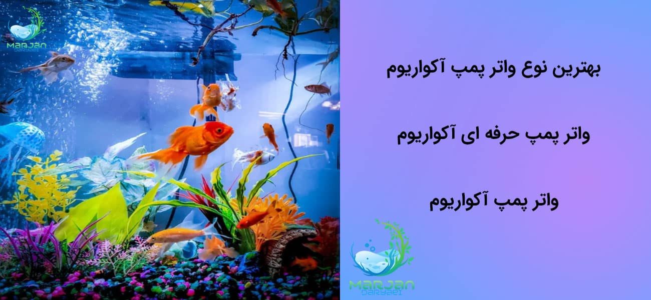 واتر پمپ آکواریوم