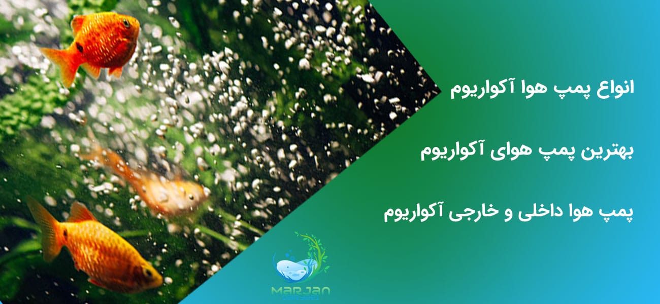انواع پمپ هوا آکواریوم